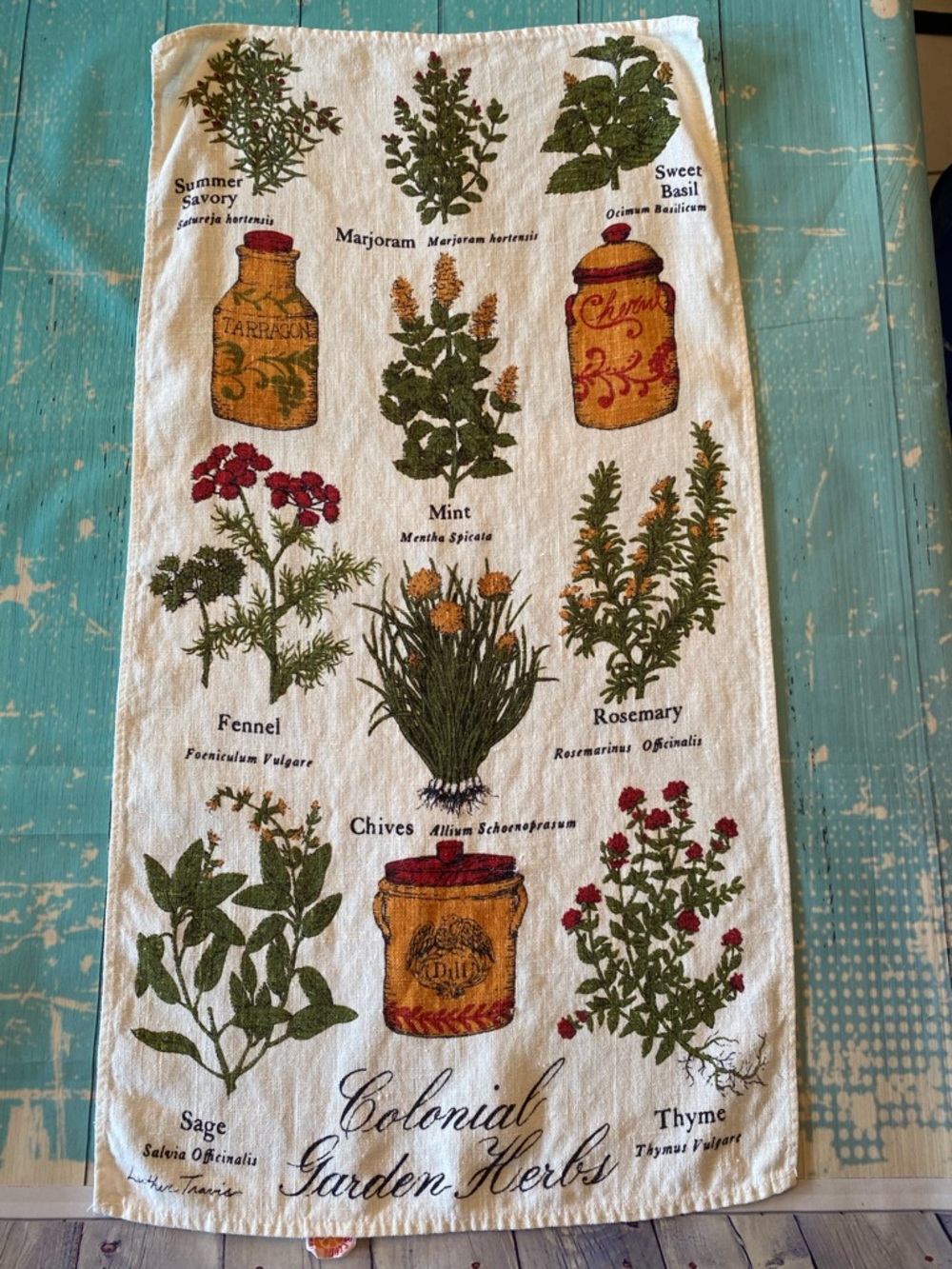 Herb Garden Kitchen Towel - Colonial Garden Herbs - Cream/Green